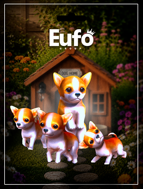 PACK CHIHUAHUA