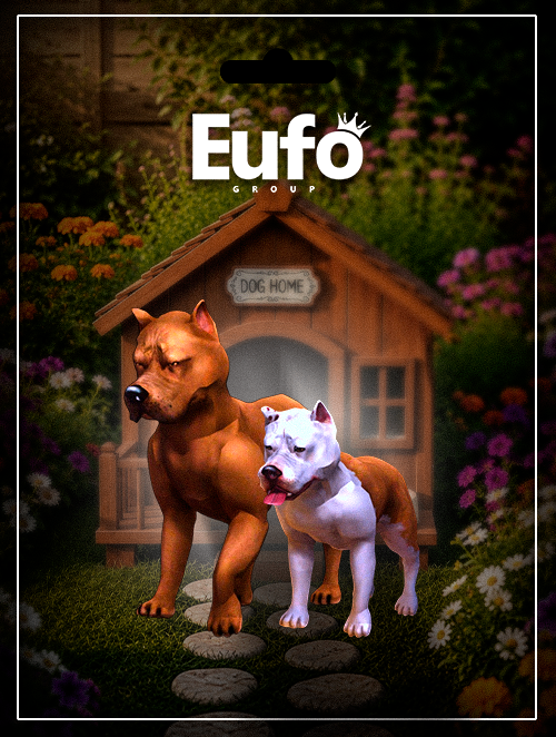 PACK AMERICAN BULLY
